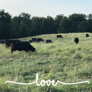 Meet your Posher, Nora